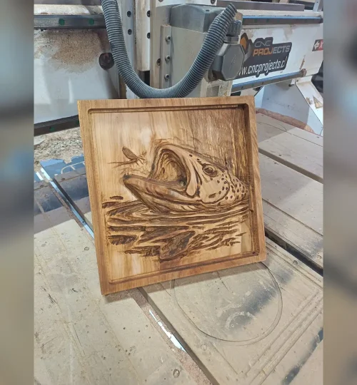 proyecto relieve 01